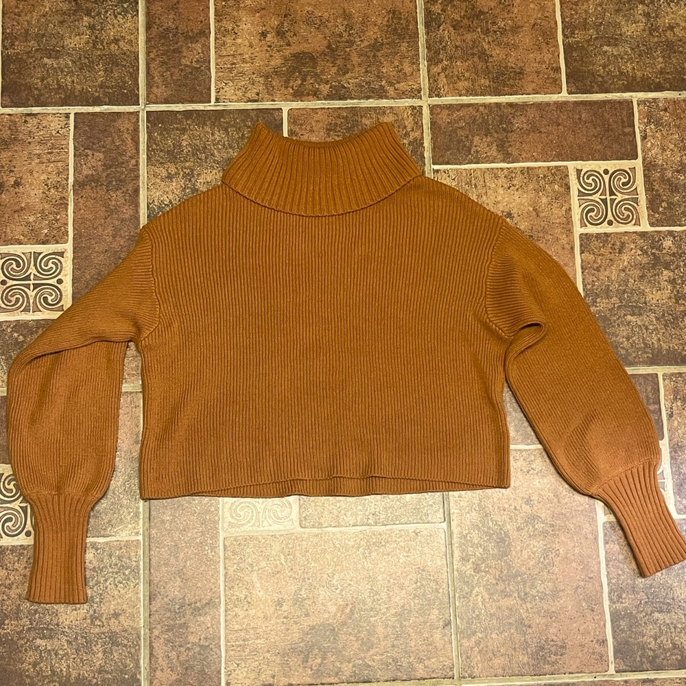 Cropped turtleneck sweater